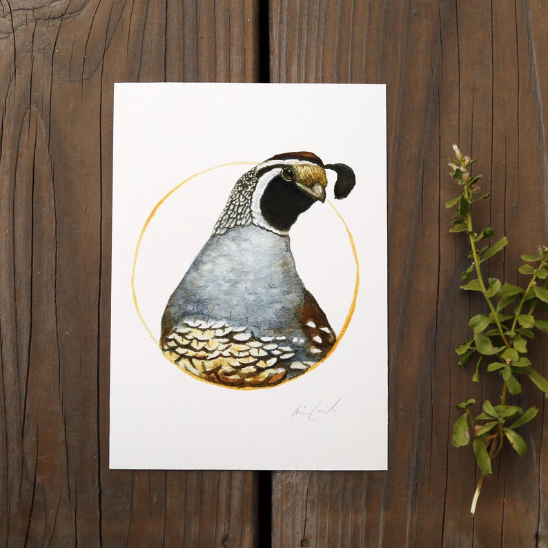 California Quail watercolor painting art print native California 5x7