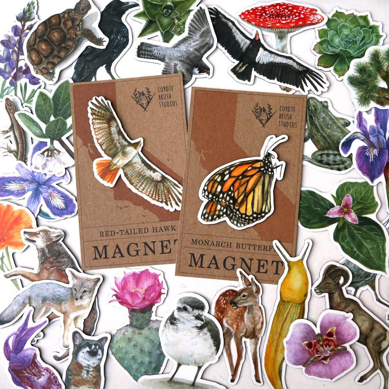 Magnets: Waterproof Native California Flora and Fauna Magnets