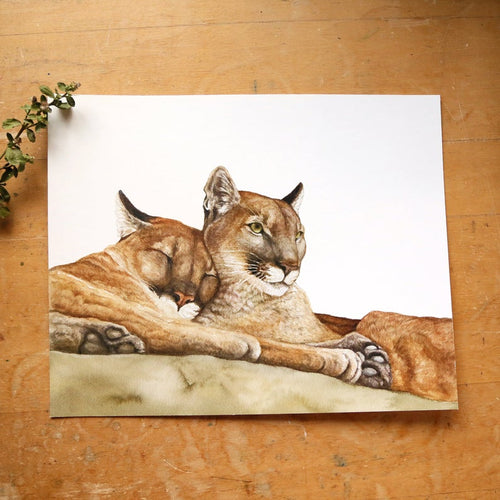 Load image 1 in gallery view. Mountain Lion  watercolor painting art print native California 8x10