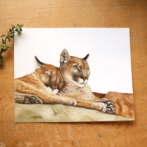 Mountain Lion  watercolor painting art print native California 8x10