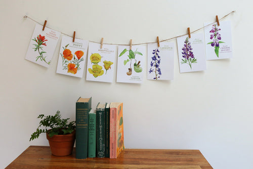 Load image 1 in gallery view. California Pipevine wildflower watercolor painting art print native California 5x7