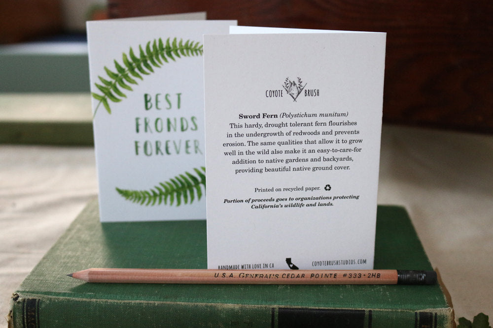 Native California sword fronds watercolor greeting card
