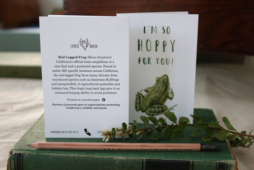 Load image 1 in gallery view. Native California red legged frog watercolor greeting card