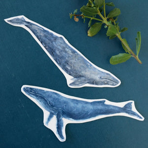 Whale Sticker Set: Two Vinyl Stickers, Humpback & Gray Whale