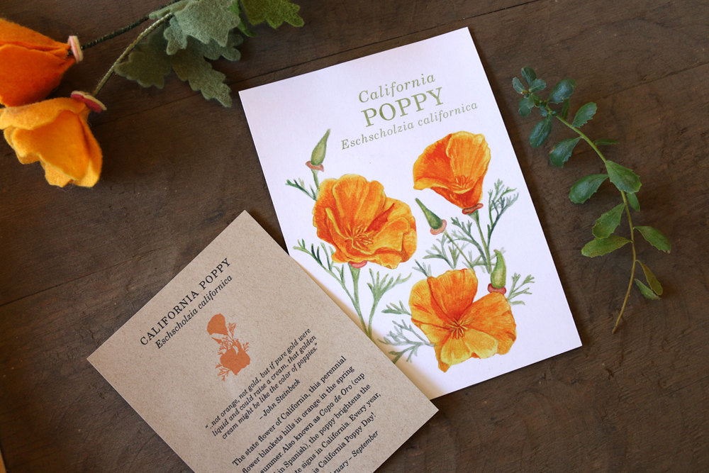 California Poppy  watercolor painting art print native California 5x7