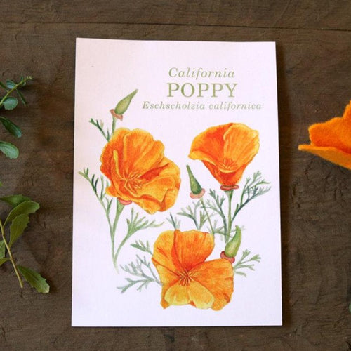 Load image 1 in gallery view. California Poppy  watercolor painting art print native California 5x7