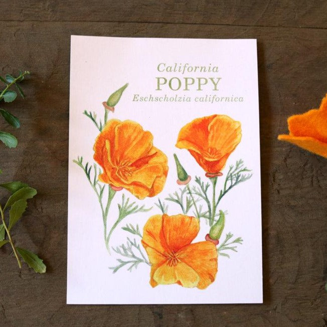 California Poppy  watercolor painting art print native California 5x7