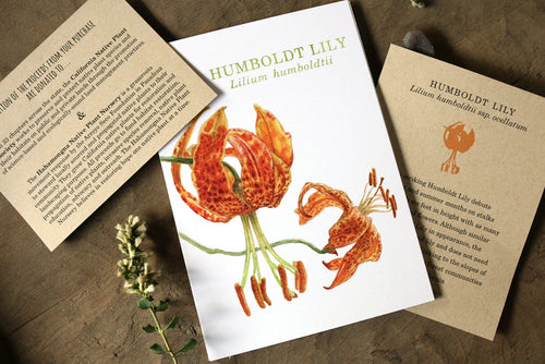 Load image 1 in gallery view. Humbolt Lily  watercolor painting art print native California 5x7