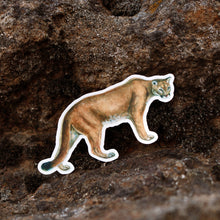 Cats of California Sticker Set: Two Vinyl Stickers- Bobcat, Cougar, Mountain Lion, Feline