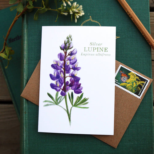 Load image 1 in gallery view. Native California silver lupine wildflower watercolor note card