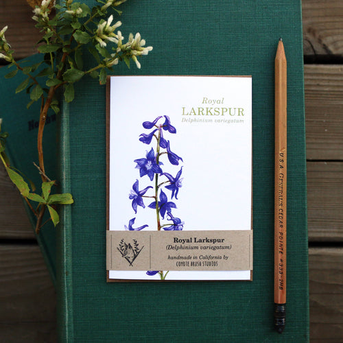 Load image 1 in gallery view. Native California wildflower royal larkspur watercolor note card
