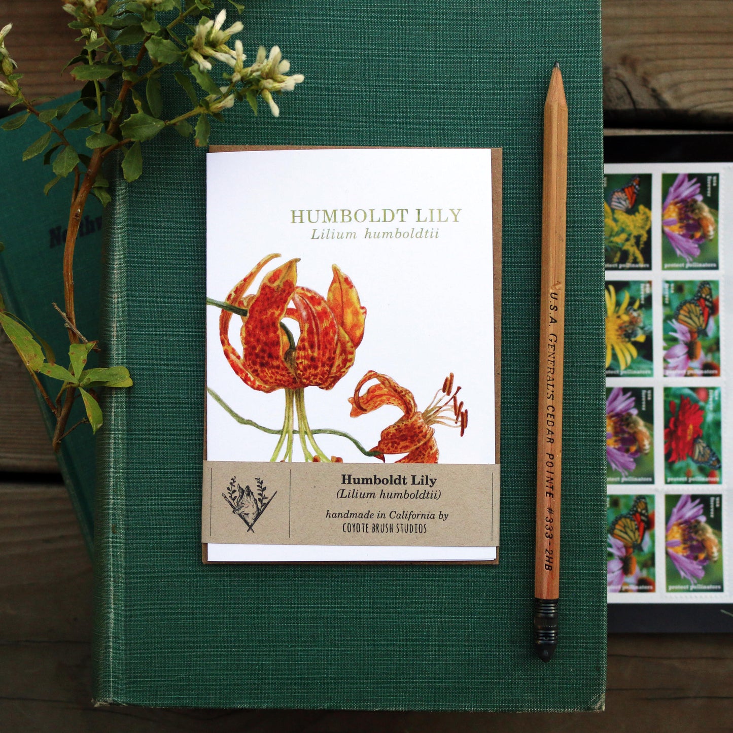Native California humbolt lily watercolor note card