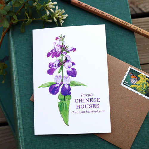 Load image 1 in gallery view. Native California wildflower purple Chinese houses watercolor note card