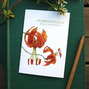 Native California wildflower humbolt lily watercolor note card set