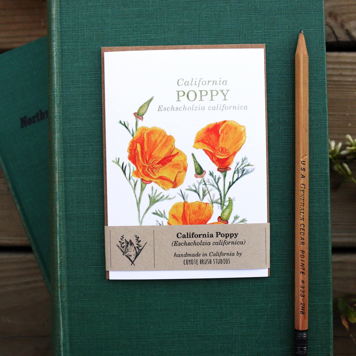 Native California poppy watercolor note card