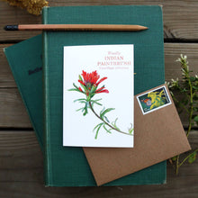 Native California wildflower woolly indian paintbrush watercolor note card