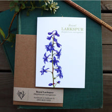 Native California wildflower royal larkspur watercolor note card