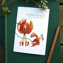 Native California humbolt lily watercolor note card