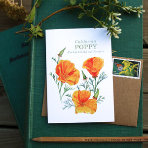 Native California wildflower California poppy watercolor note card set
