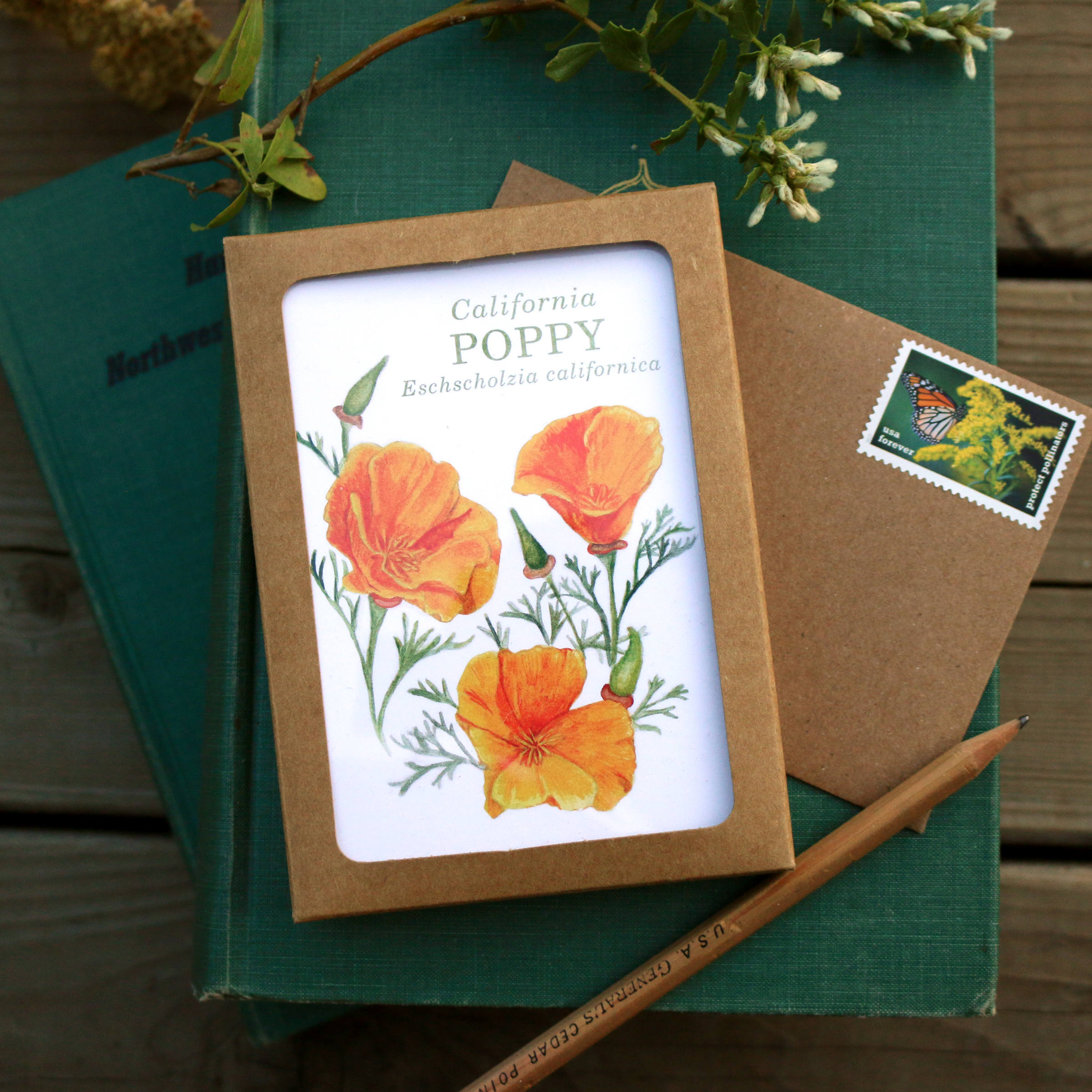 Native California wildflower watercolor note card set