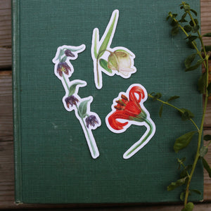 Lilies of California Stickers: Checker lily, Globe Lily, Coast Lily Vinyl Sticker Set