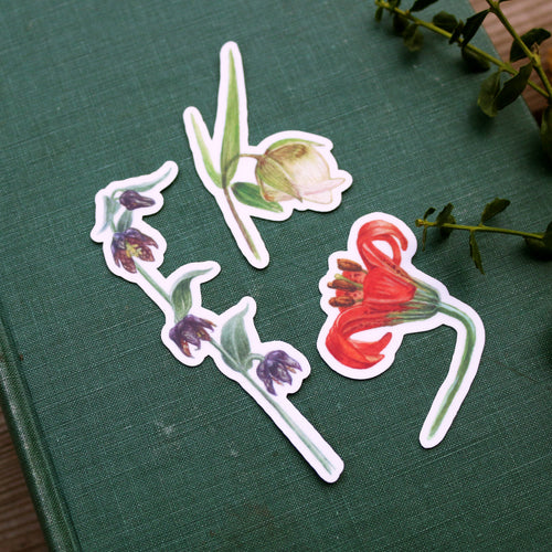 Load image 1 in gallery view. Lilies of California Viny Stickers: Checker lily, Globe Lily, Coast Lily