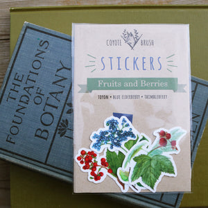Berries and Fruits of California Stickers: Toyon, Thimbleberry, Elderberry Vinyl Sticker
