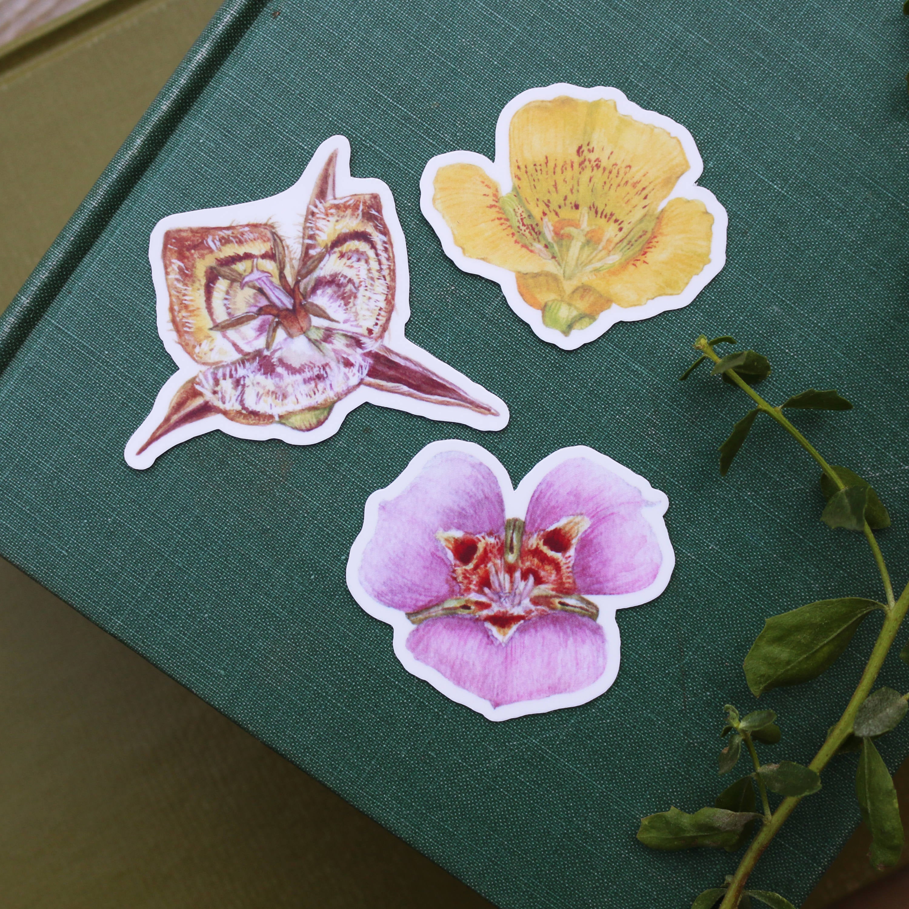 Mariposa Lily Vinyl Stickers: Butterfly, Yellow, and Tiburon Mariposa Lily