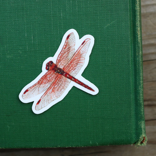Load image 1 in gallery view. River Residents Vinyl Stickers: River Otter, Rainbow Trout, Flame Skimmer Dragonfly