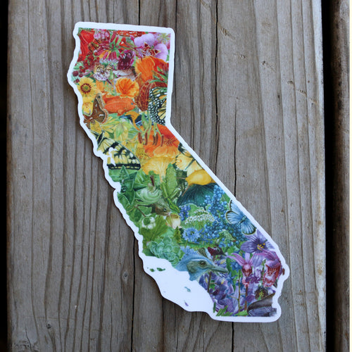 Load image 1 in gallery view. California Rainbow Diversity of Life Vinyl Sticker