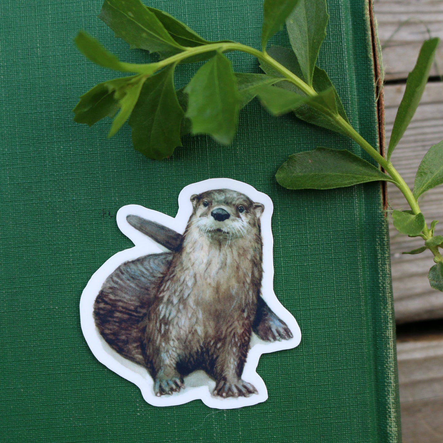 River Residents Vinyl Stickers: River Otter, Rainbow Trout, Flame Skimmer Dragonfly