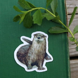 River Residents Stickers: Three Vinyl Stickers - River Otter, Rainbow Trout, Flame Skimmer Dragonfly