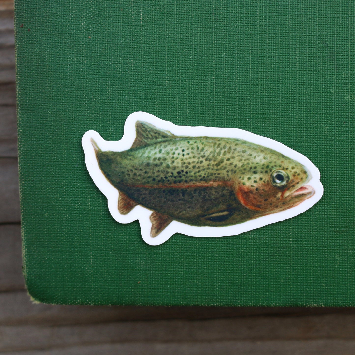 River Residents Vinyl Stickers: River Otter, Rainbow Trout, Flame Skimmer Dragonfly