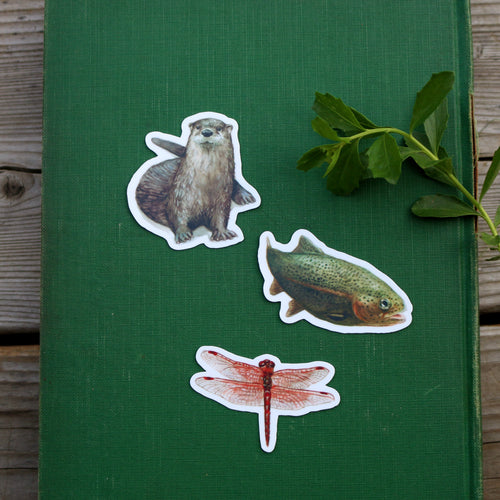 River Residents Stickers: Three Vinyl Stickers - River Otter, Rainbow Trout, Flame Skimmer Dragonfly