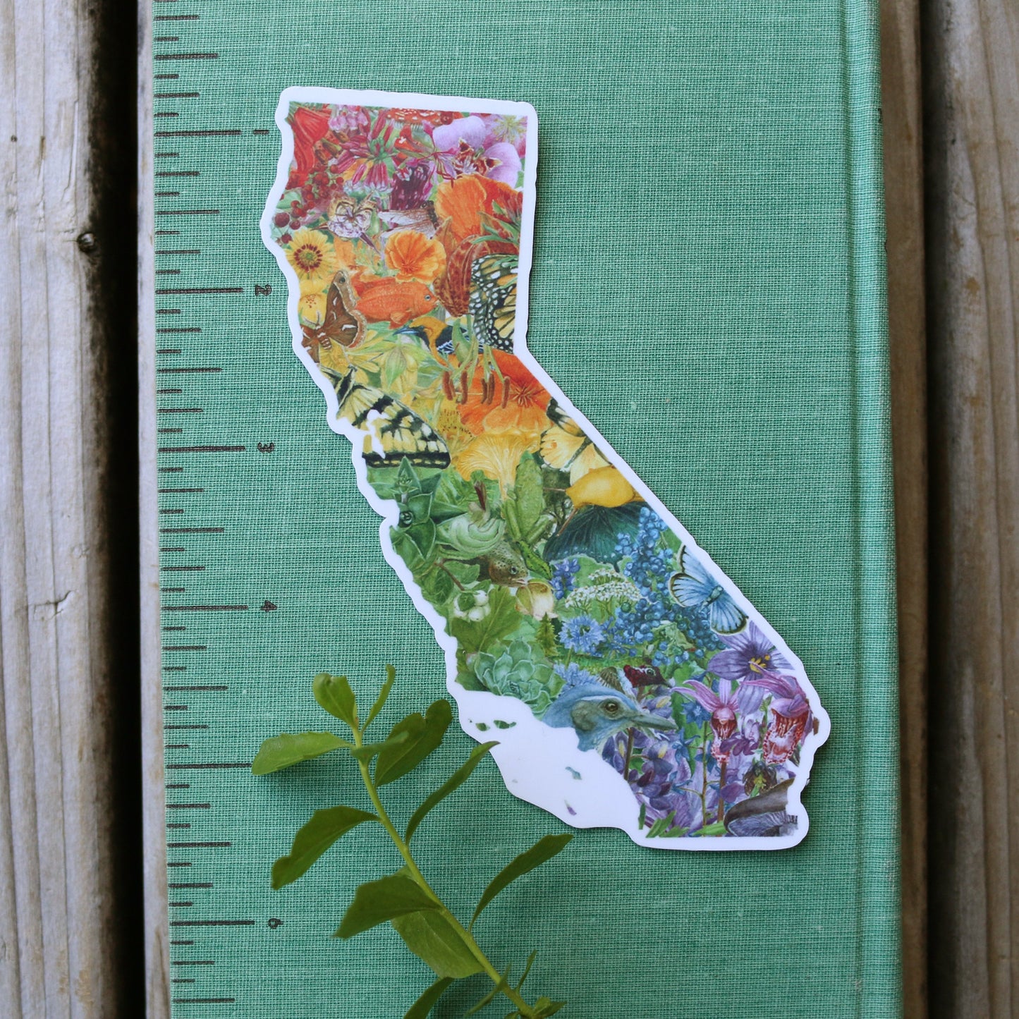 California Rainbow Diversity of Life Vinyl Sticker