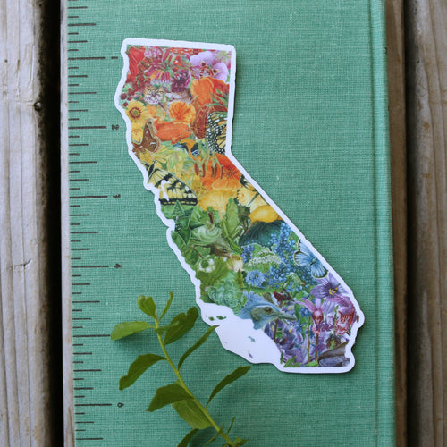 Load image 1 in gallery view. California Rainbow Diversity of Life Vinyl Sticker