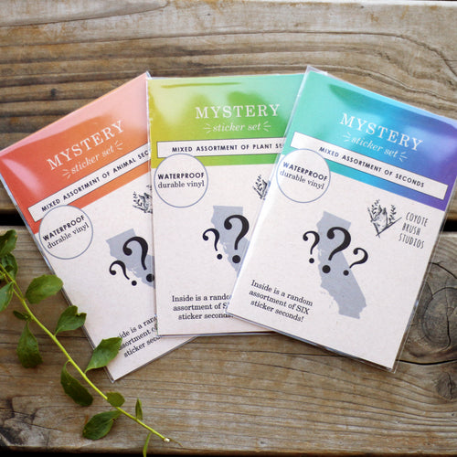 Load image 1 in gallery view. Mystery Vinyl Sticker Seconds: SIX Durable, Waterproof Stickers Featuring Native California Plants and Animals