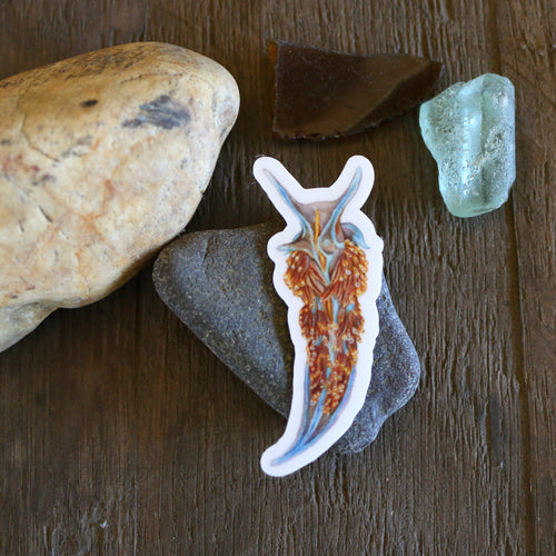 Load image 1 in gallery view. Tide Pools Vinyl Stickers: Ochre Sea Star, Nudibranch, Urchin and Sculpin