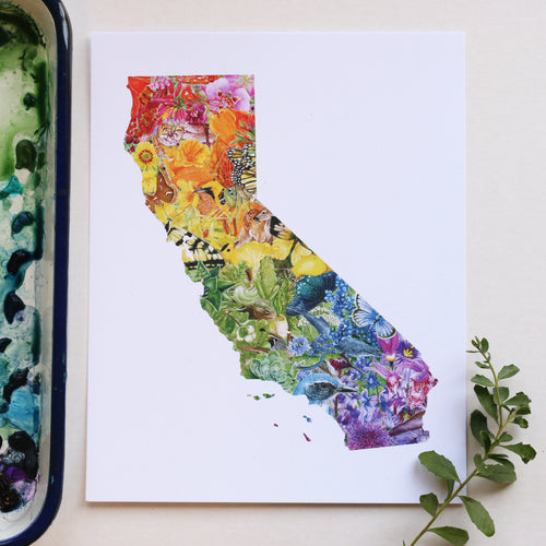 Load image 1 in gallery view. California Diversity watercolor painting art print native California 8x10