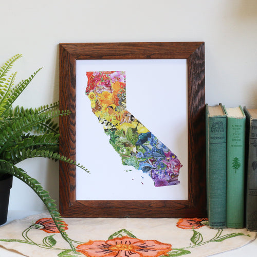 Load image 1 in gallery view. California Diversity watercolor painting art print native California framed 8x10