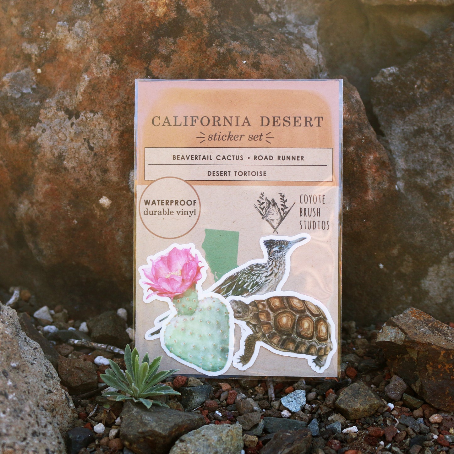 Deserts of California Vinyl Stickers: Roadrunner, Desert Tortoise, Beavertail Cactus