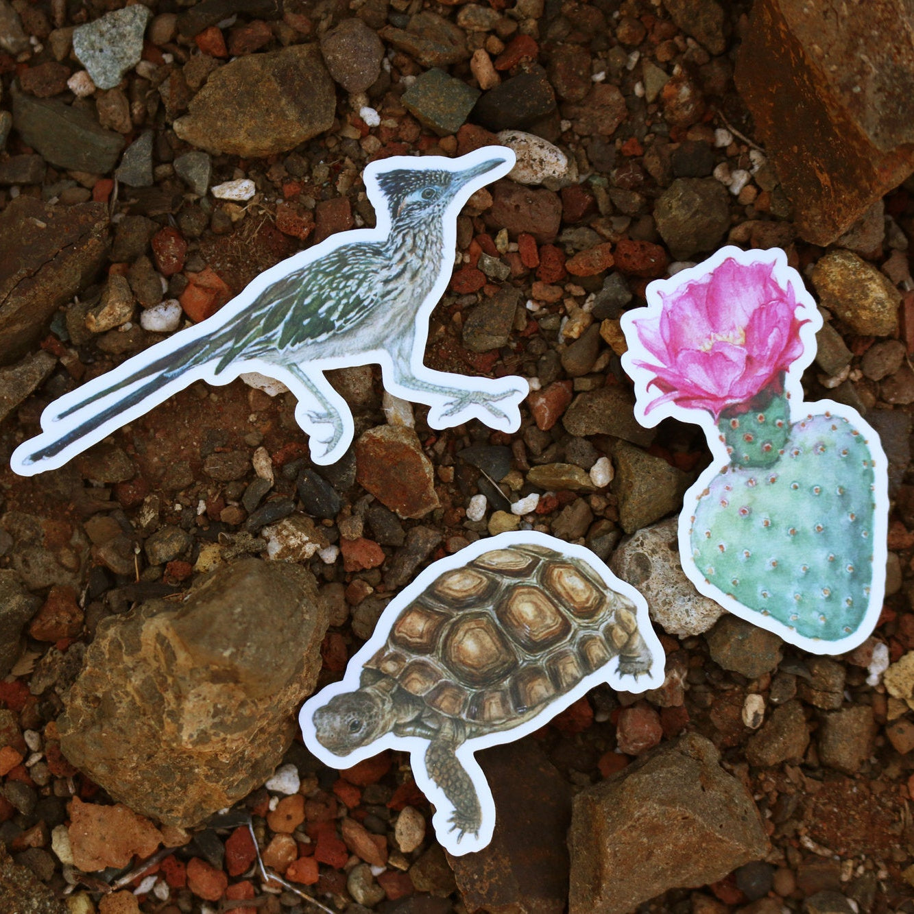 Deserts of California Vinyl Stickers: Roadrunner, Desert Tortoise, Beavertail Cactus