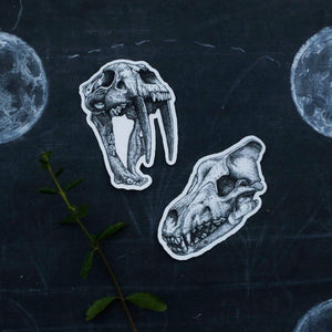 Extinct California: Two Skull Vinyl Stickers - Smilodon Saber Tooth Cat, Dire Wolf Skull