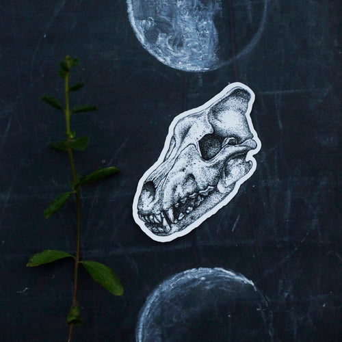 Load image 1 in gallery view. Extinct California Vinyl Stickers: Smilodon Saber Tooth Cat, Dire Wolf Skull