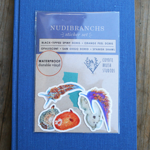 Load image 1 in gallery view. Nudibranch Vinyl Stickers: Opalescent Nudibranch, Spanish Shawl, Spiny Doris, San Diego Dorid