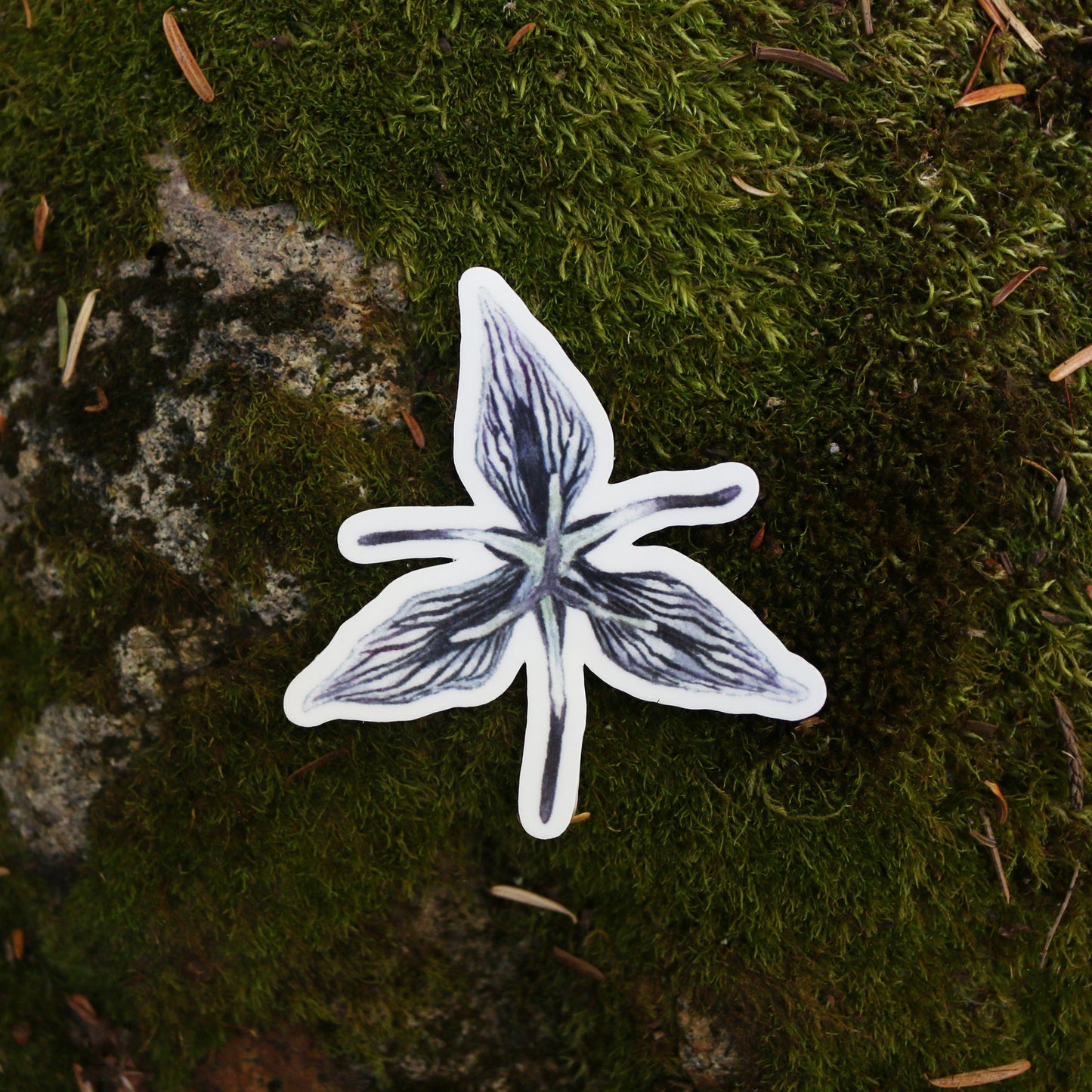 Redwood Understory Stickers Vinyl Stickers: Fairy Slipper, Pacific Trillium, Redwood Violet, Fetid Adder's Tongue