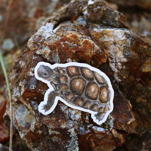 Load image 1 in gallery view. Deserts of California Vinyl Stickers: Roadrunner, Desert Tortoise, Beavertail Cactus