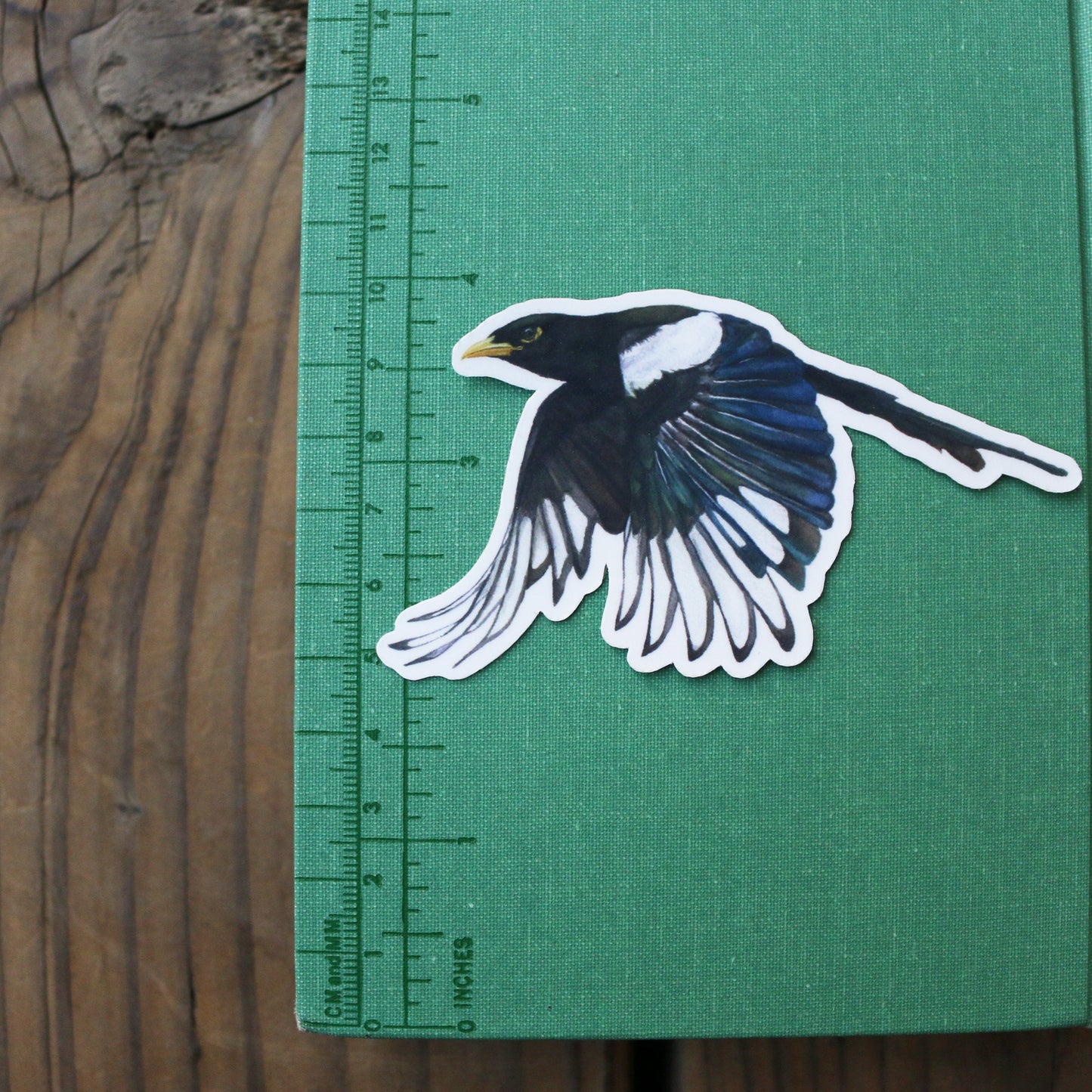 Corvids Vinyl Stickers: Scrub Jay, Yellow Billed Magpie, Steller's Jay