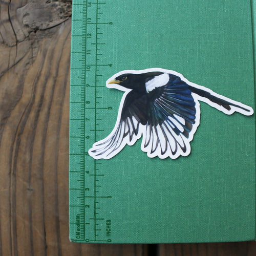 Load image 1 in gallery view. Corvids Vinyl Stickers: Scrub Jay, Yellow Billed Magpie, Steller's Jay