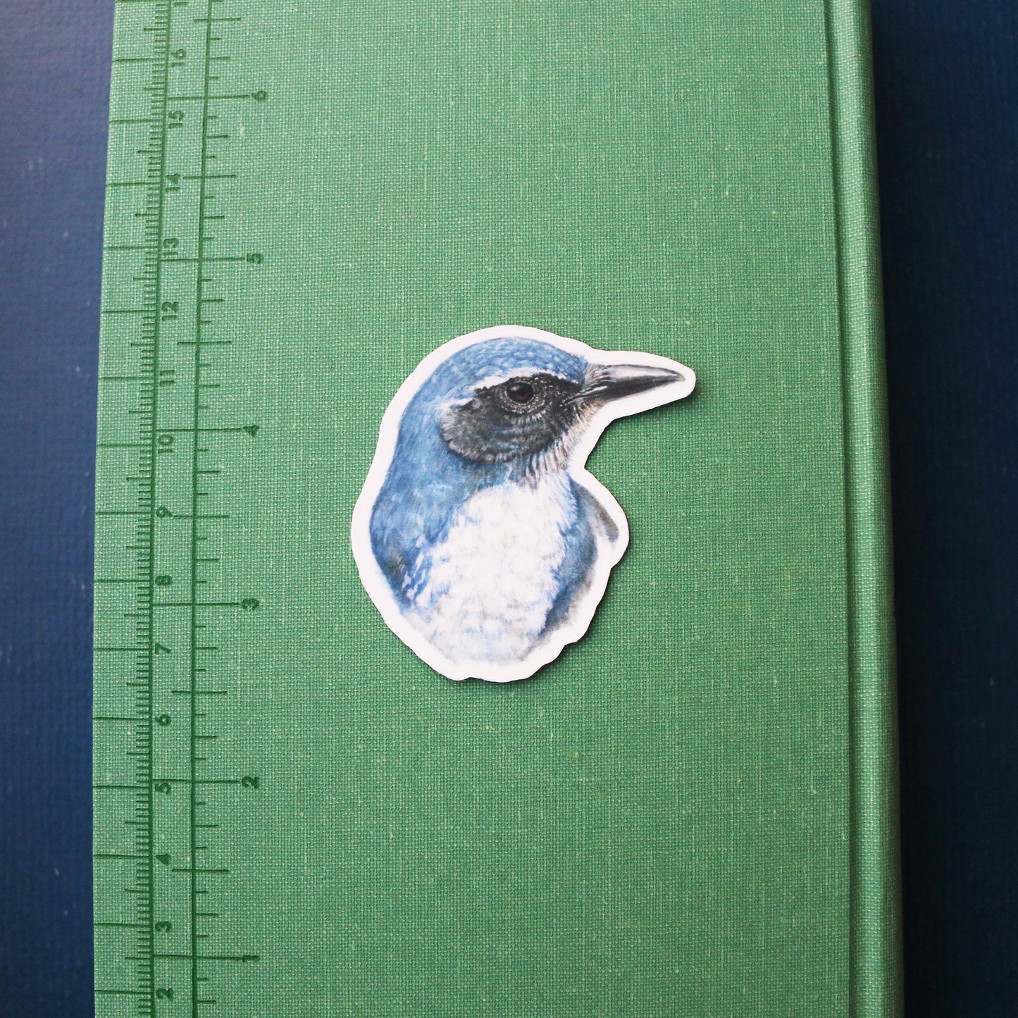 Corvids Vinyl Stickers: Scrub Jay, Yellow Billed Magpie, Steller's Jay